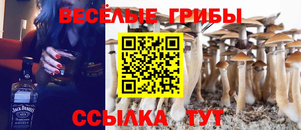 Псилоцибиновые грибы Cubensis  Вход с VPN  Бугуруслан 