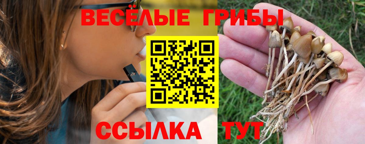 Галлюциногенные грибы ЛСД Бугуруслан